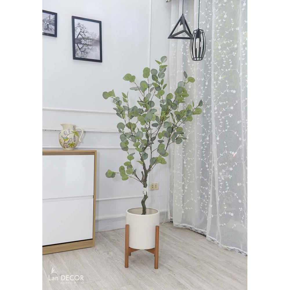 Cây giả - Cây bạch đàn trang trí cao 130cm - LC3050