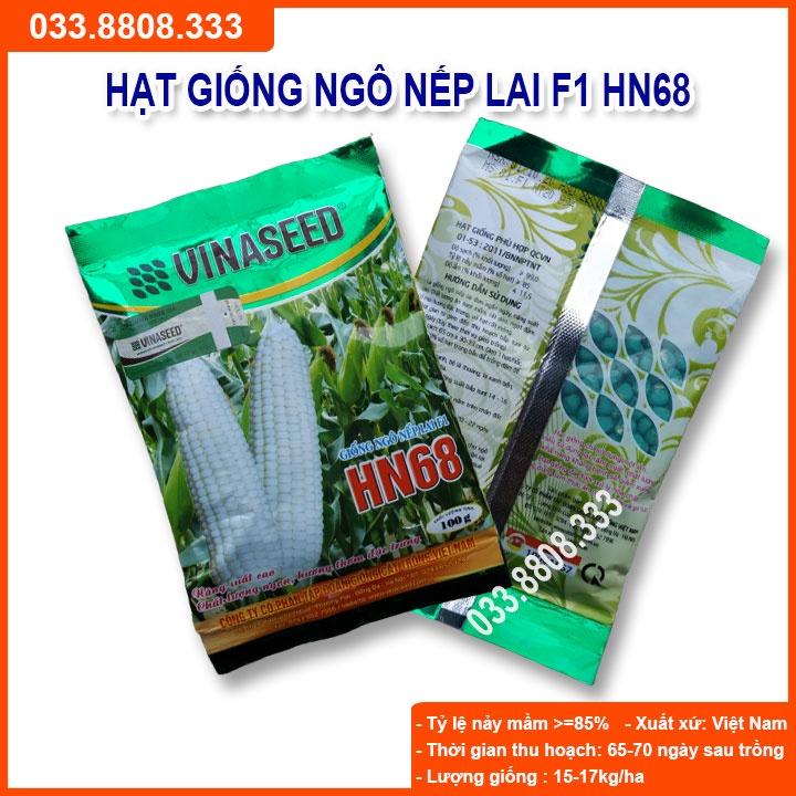 Hạt Giống Ngô Nếp Dẻo Thơm Ngon Đều Hạt HN68 500gram