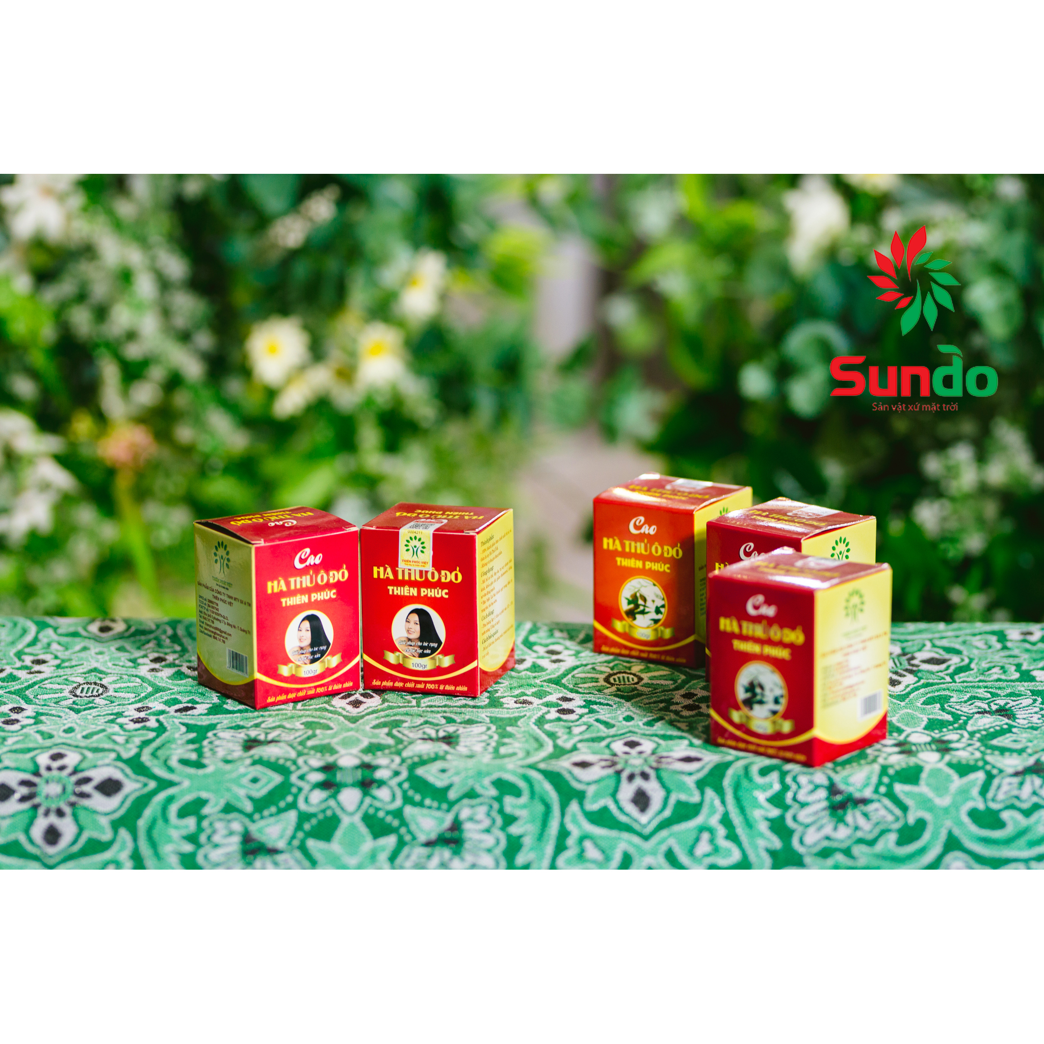 Cao hà thủ ô đỏ Thiên Phúc