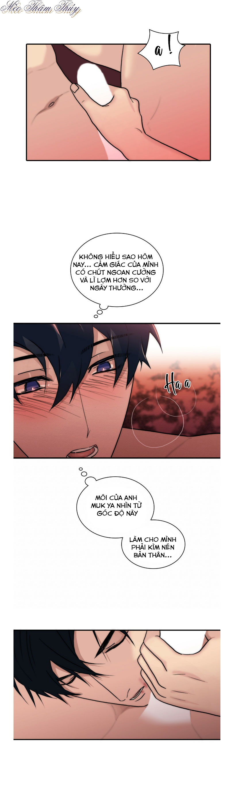 giai điệu của ngôn ngữ chapter 65 4