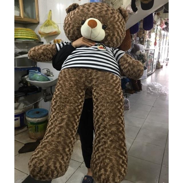 GẤU BÔNG TEDY ảnh thật 100% nhiều màu