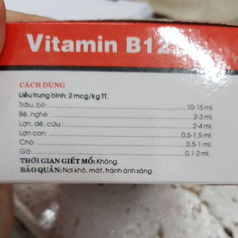 1 hộ 50 ống vitamin b 12 2ml bổ sung dinh dưỡng vật nuôi