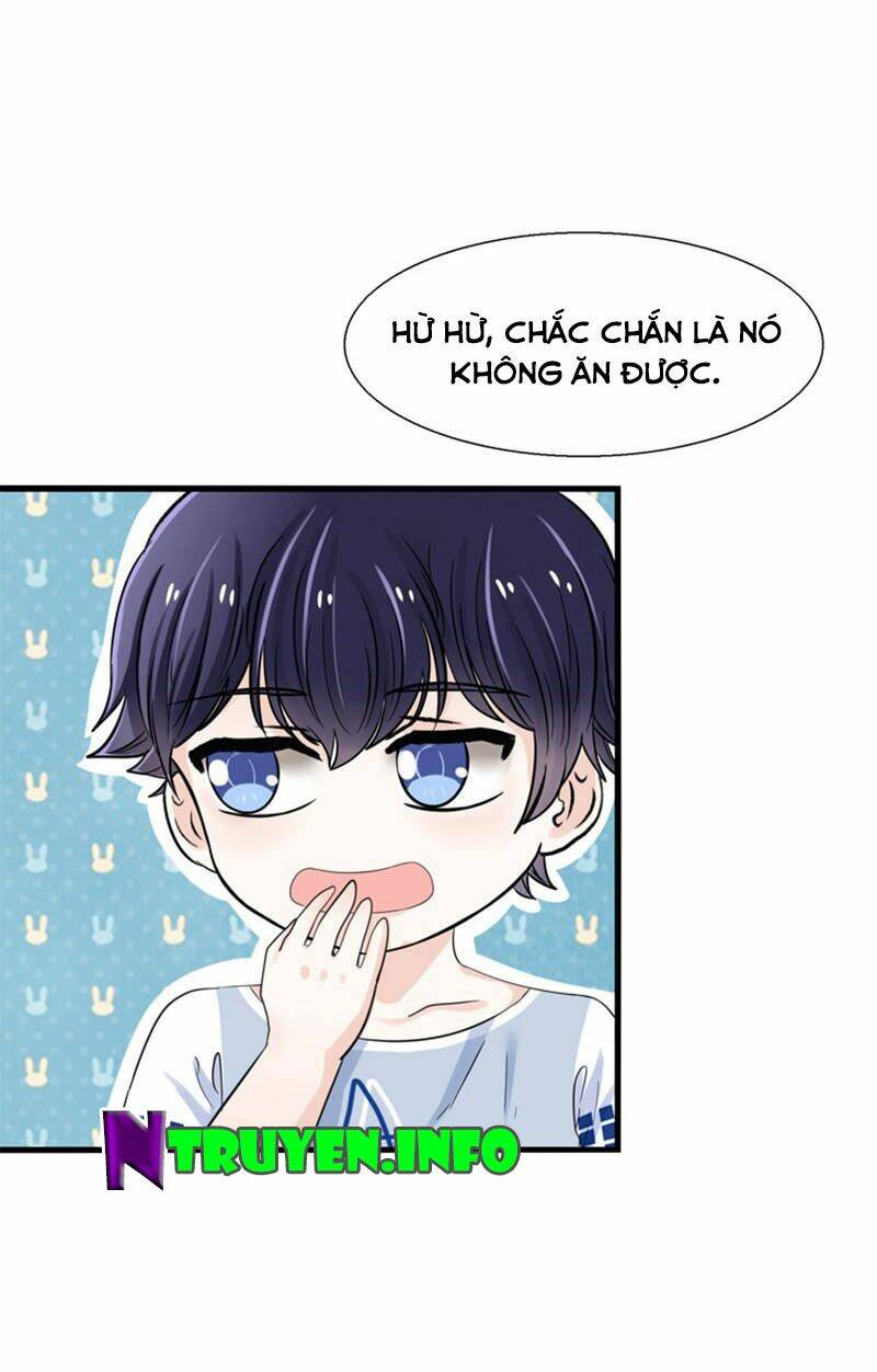 tôi bị gấu trúc nhìn trúng rồi chapter 17 13