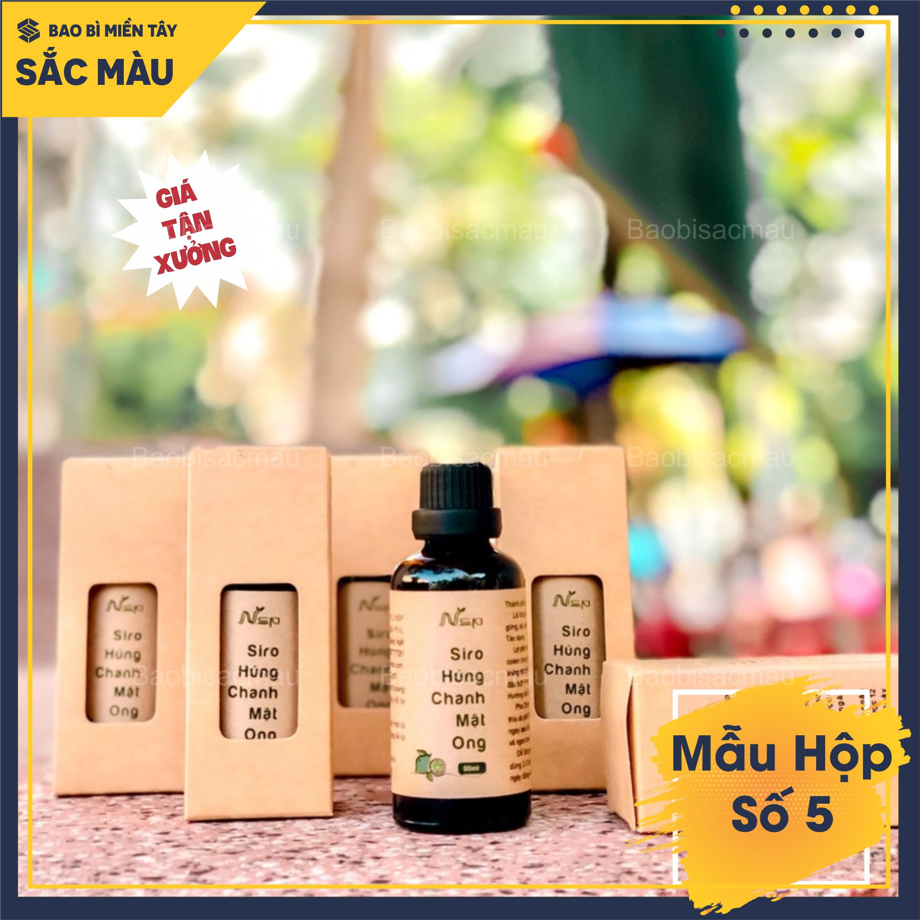 5 Hộp đựng tinh dầu, chai thủy tinh, nước hoa chiết 50ML ( Hộp số 5)