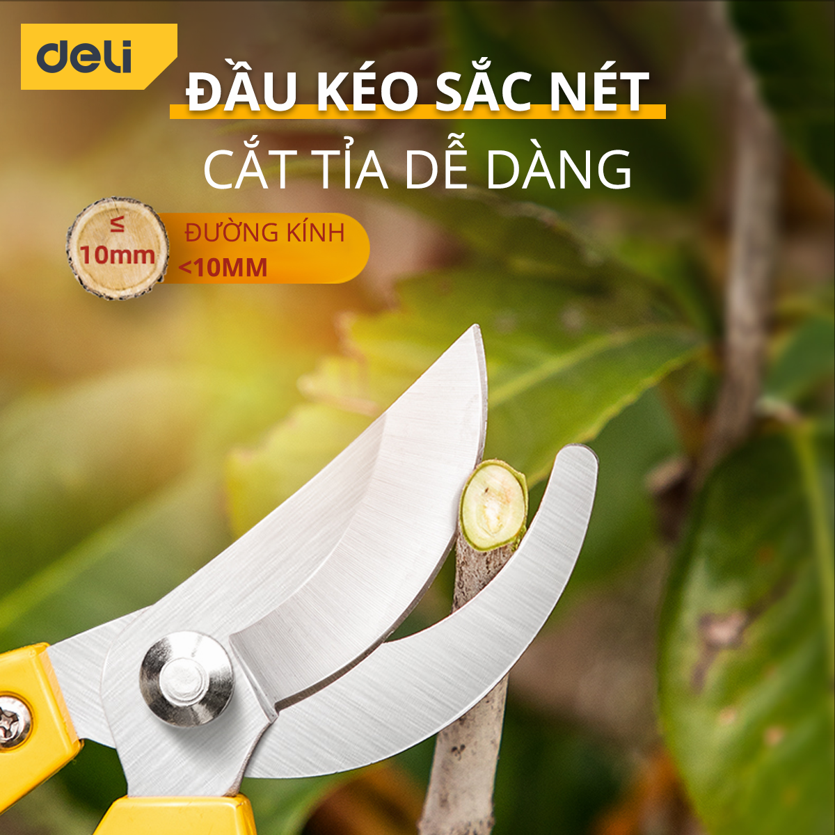 Kéo Cắt Cành Lưỡi Thép Deli Kích Thước 8 Inch, Tay Cẩm Chống Trơn Trượt, Dễ Dàng Sử Dụng DL2770