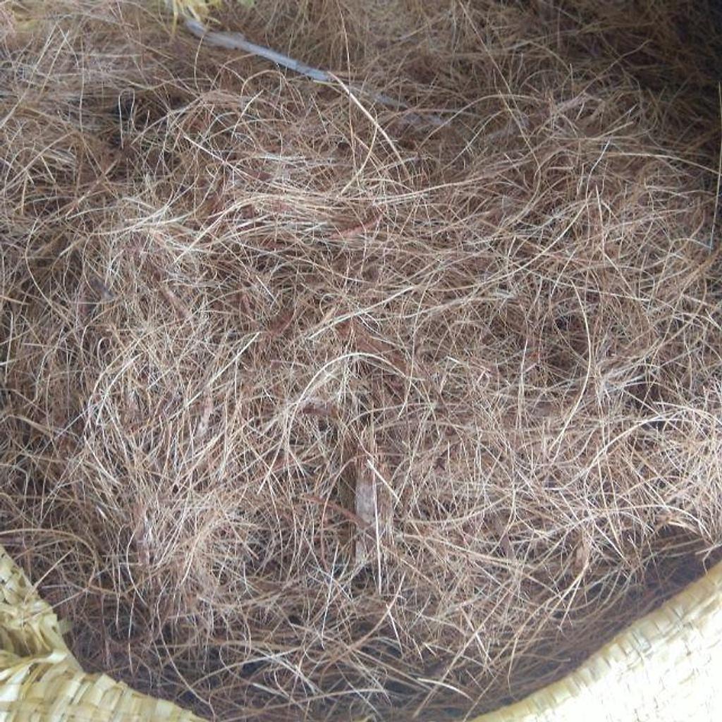 200g Chỉ Dừa Giá Thể Trồng Lan - Giá Thể Sạch