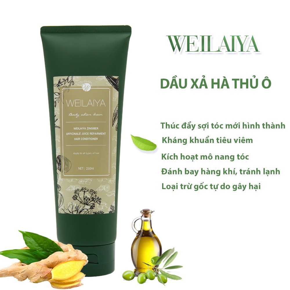 Dầu gội weilaiya tinh chất hà thủ ô ngăn ngừa rụng tóc hiệu quả 400ml