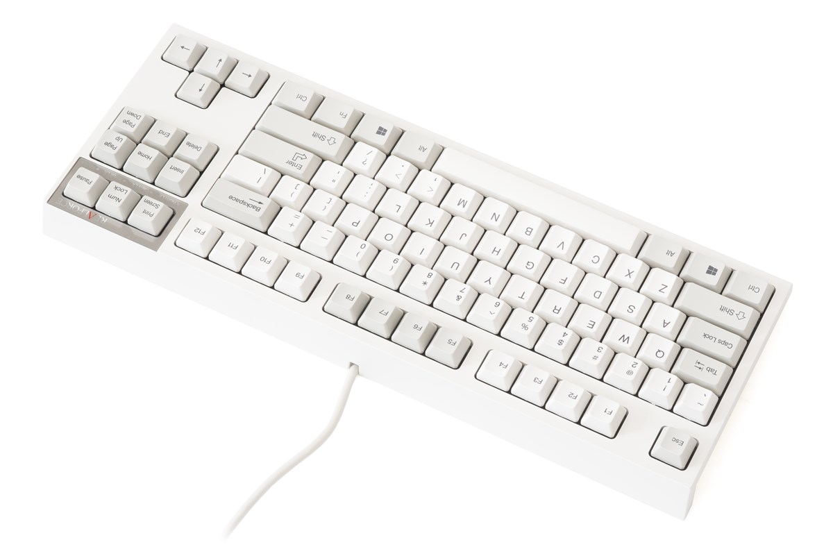 Bàn phím cơ Realforce R2 Standard Tenkeyless White Variable - Hàng Chính Hãng