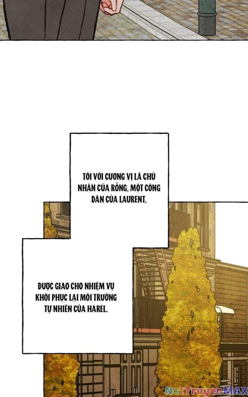 nuôi dưỡng một hắc long chapter 74.2 4