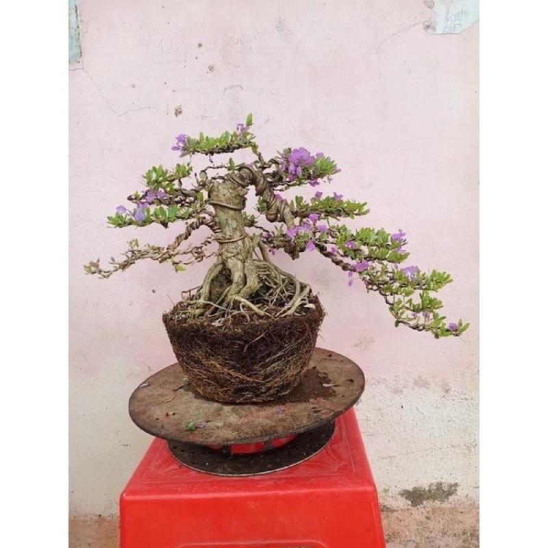 DÂY NHÔM CHUYÊN DÙNG UỐN CÂY CẢNH 3mm