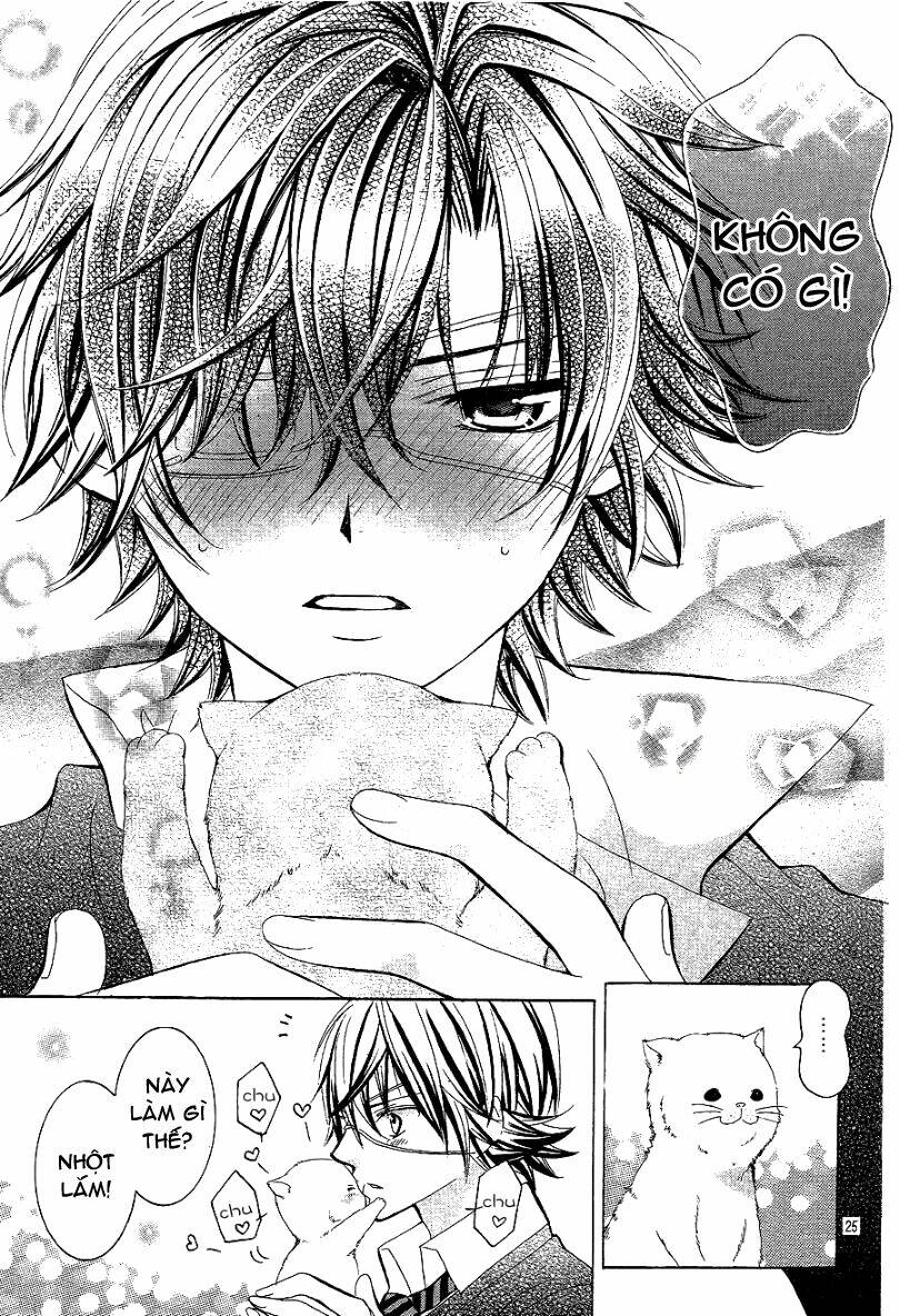 cuộc gặp gỡ diệu kỳ chapter 4 28