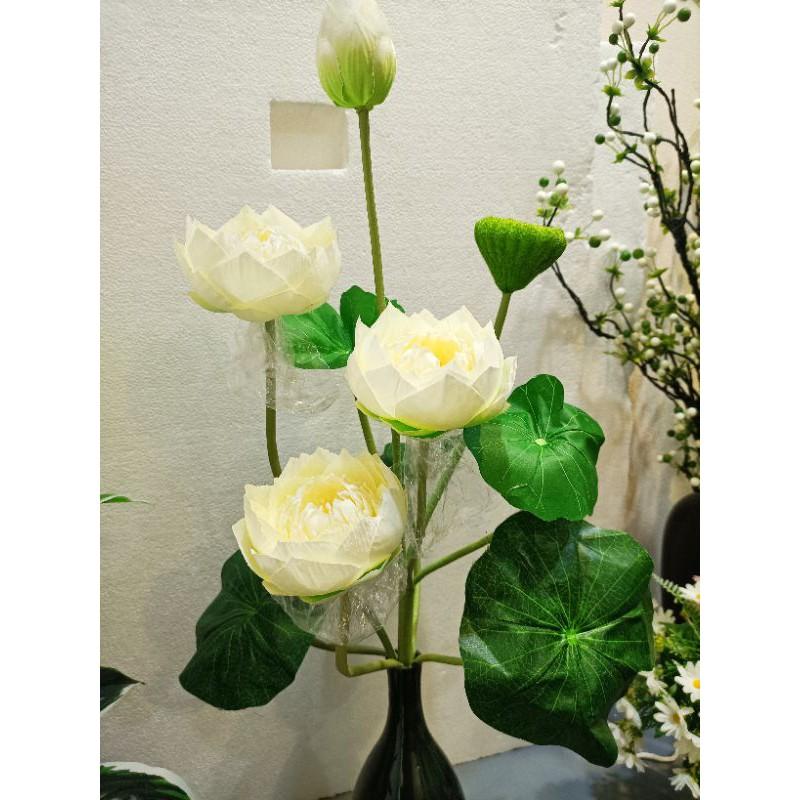 Cành sen giả,sen thái cánh kép cao 77cm,lụa cao cấp, lá in 3D-hoaluaminhhoa
