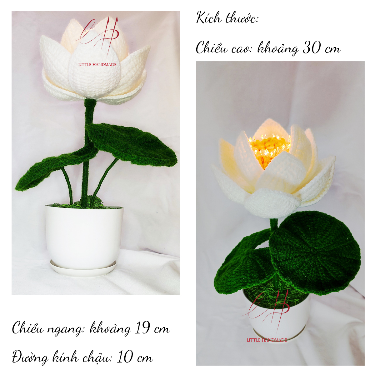 Chậu hoa sen trắng 12 cánh 30x19x10 cm trang trí bàn học, bàn làm việc, làm đèn ngủ, quà tặng,...