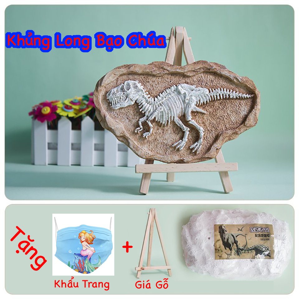 Phù điêu hóa thạch khủng long, Đồ chơi đào hóa thạch khủng long, . Size Siêu to. Đồ chơi giáo dục.