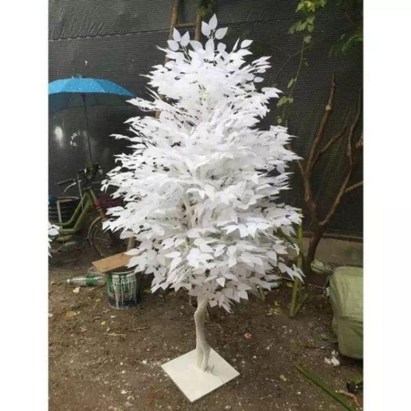 Combo 10 Cành lá si trắng làm cây giả - Lá giả