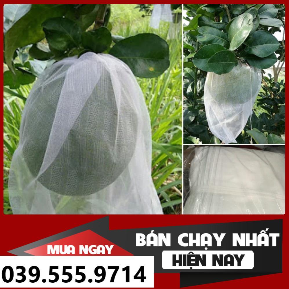 100 TÚI BỌC MÍT SIZE 45X60 - CHỐNG CÔN TRÙNG BẢO VỆ QUẢ