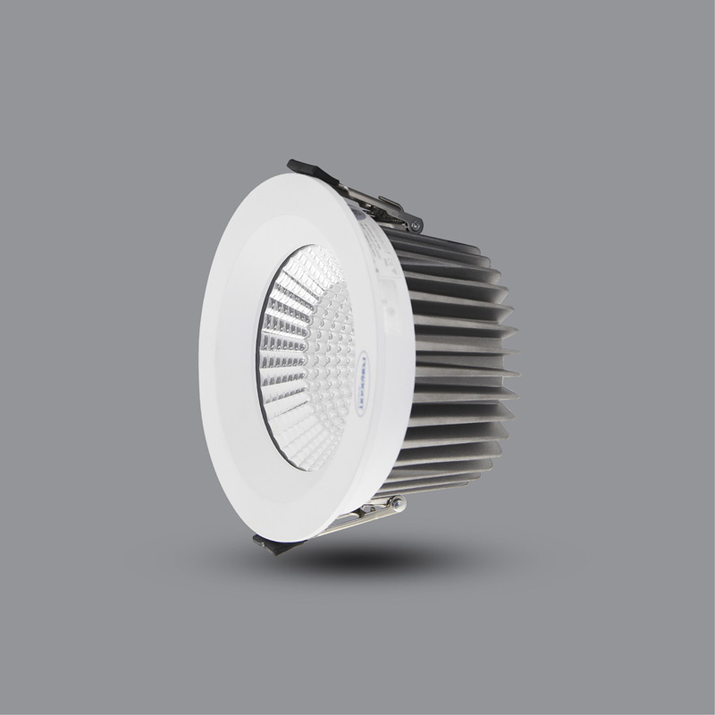 ĐÈN LED DOWNLIGHT CHỐNG THẤM 10W PRDAB110L10