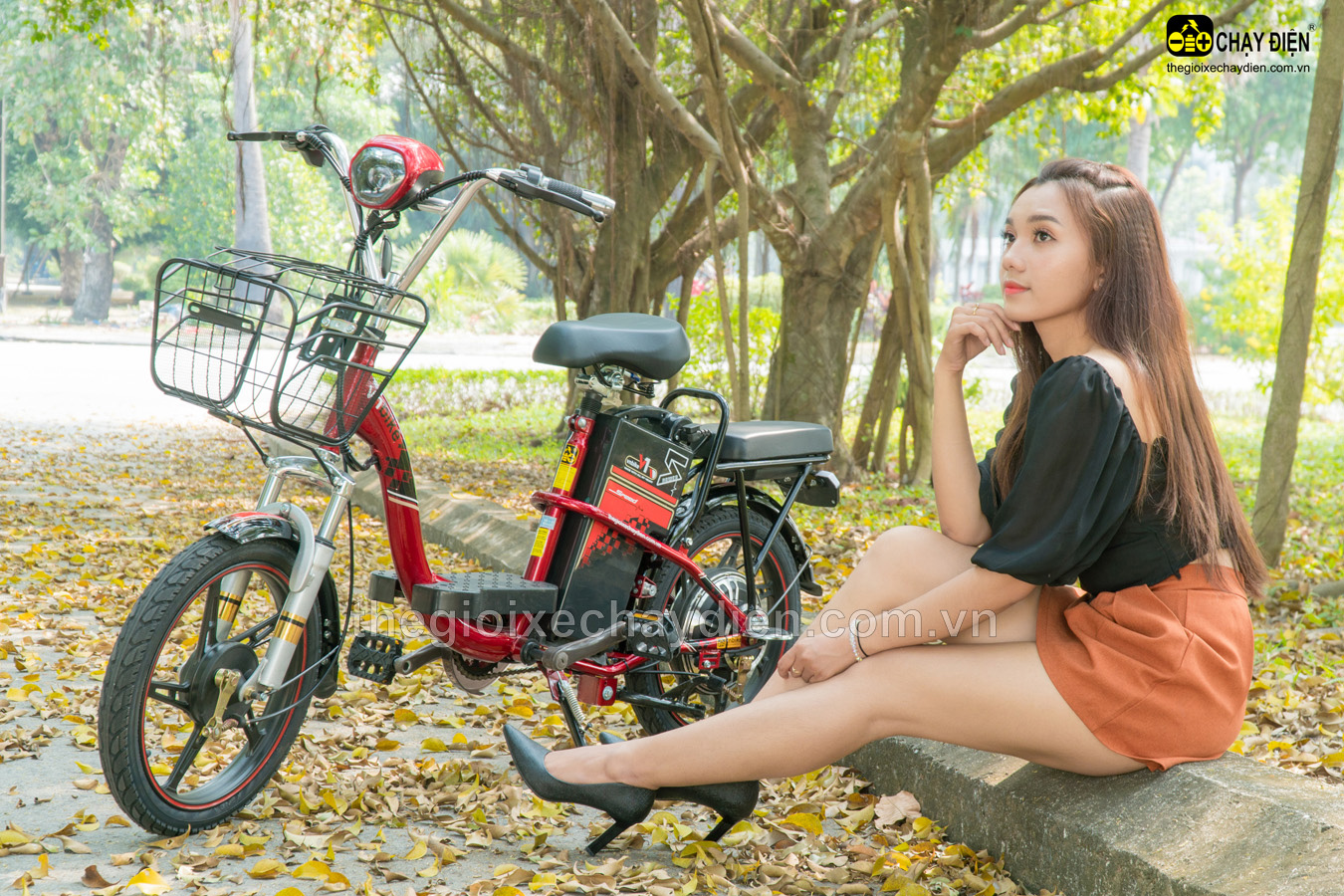 XE ĐẠP ĐIỆN VNBIKE V1 18INCH