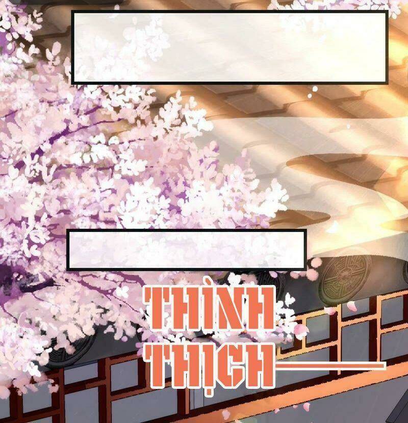 quận chúa vững vàng, thiết lập nhân vật không thể vỡ chapter 58 5