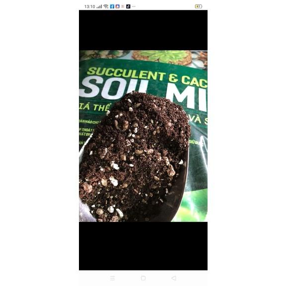 Giá thể trồng xương rồng và sen đá , 35k/kg.
