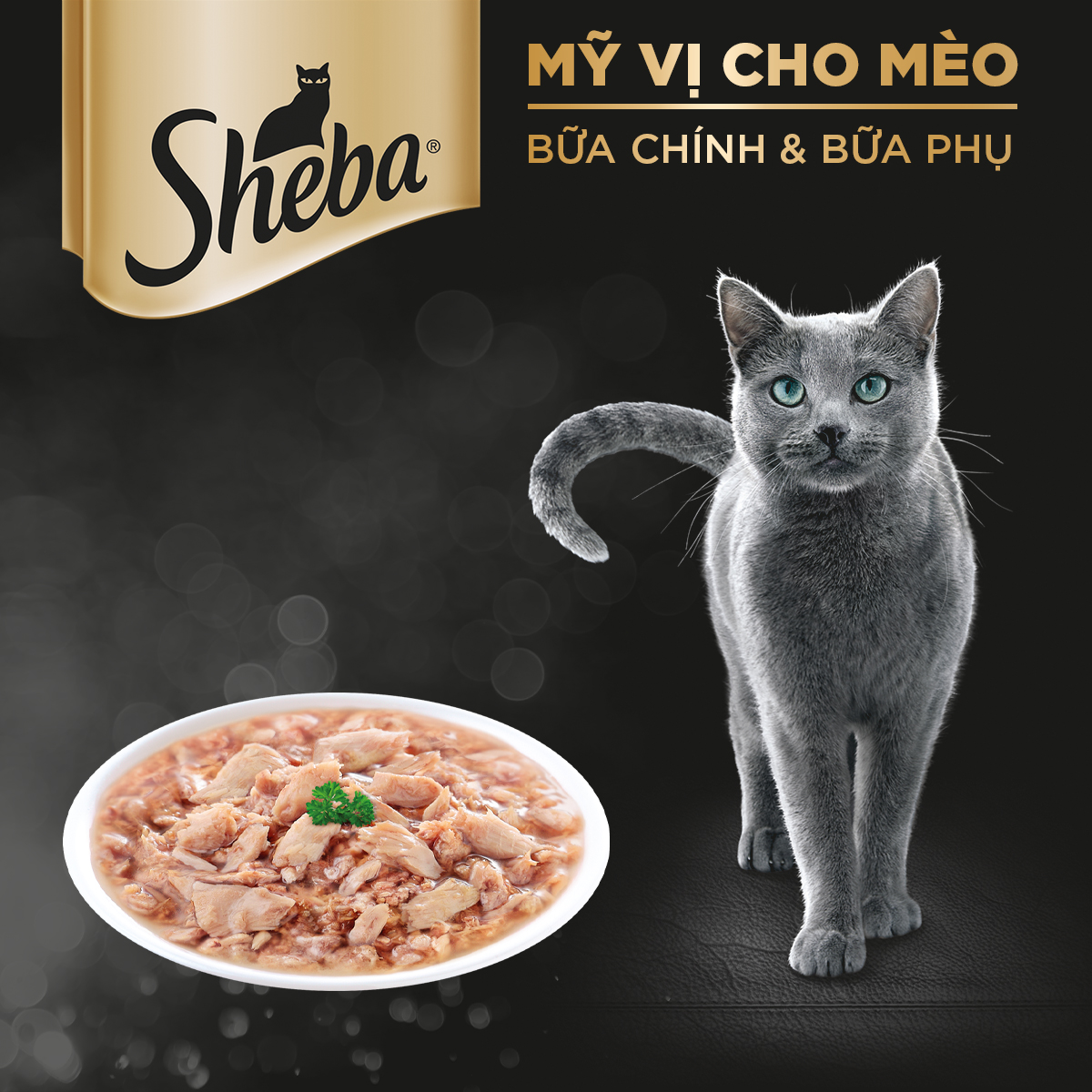 SHEBA Pate cho mèo sành ăn - Thức ăn cho mèo trưởng thành dạng sốt, 70g