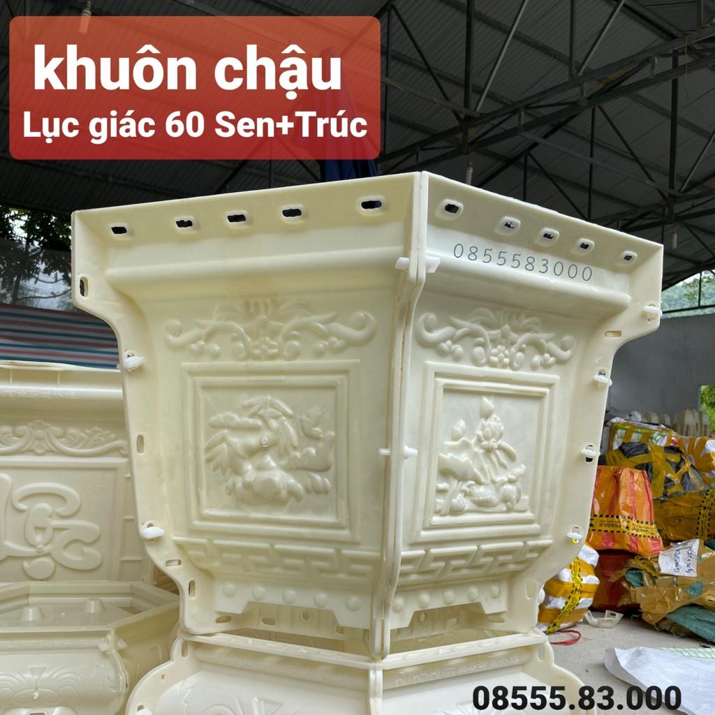 Khuôn đúc chậu lục giác 60 Sen-Trúc