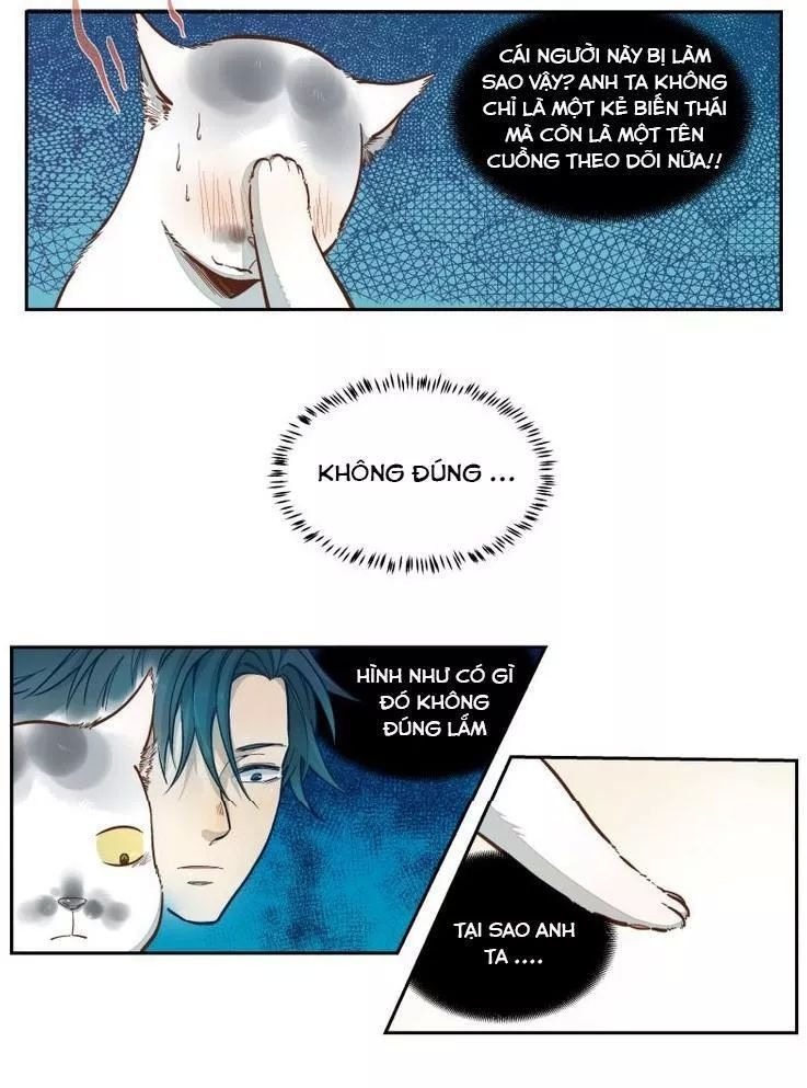 thời khắc ấy, chúng ta gặp nhau chapter 19 5