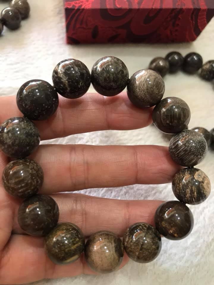 Vòng Gỗ Hóa Thạch Nam Đeo Tay Rất Đẹp Hiếm có hàng size 14mm Vòng size 14ly gồm 14 hạt vào cung nam đeo được hết ạ Màu Nâu Đậm Vân Gỗ Tự Nhiên Nam đeo Đẹp Sang Tay tốt rẻ ạ