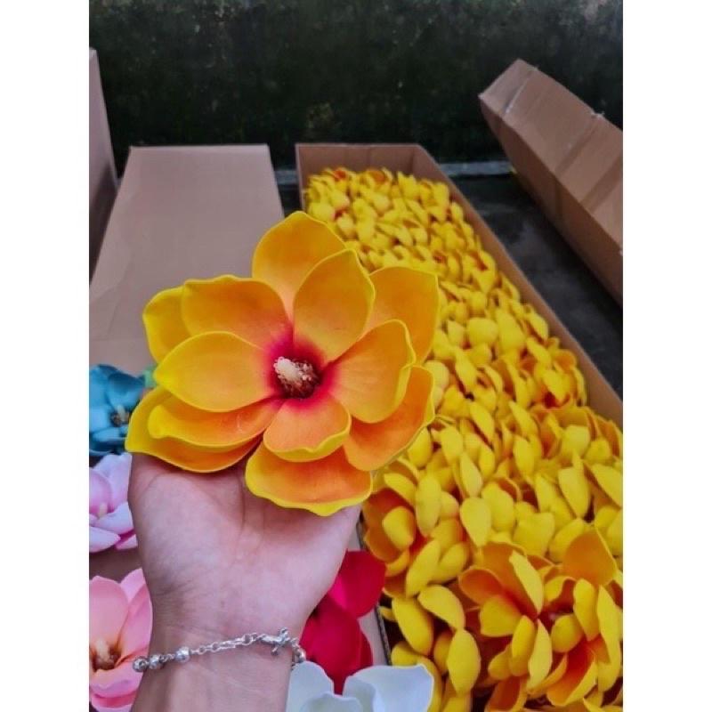 Hoa mộc lan bông đại