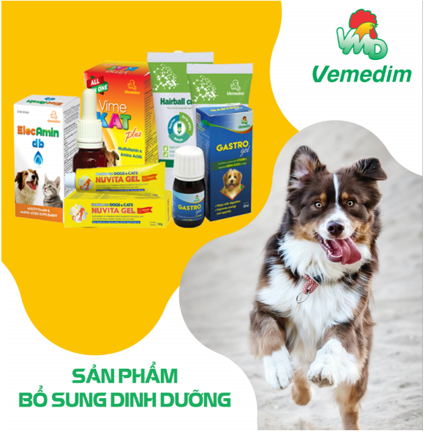 PROBISOL PETS Men tiêu hóa cho chó, mèo, Kích thích tiêu hóa, tăng đề kháng, Combo 10 gói, Sản phẩm Vemedim