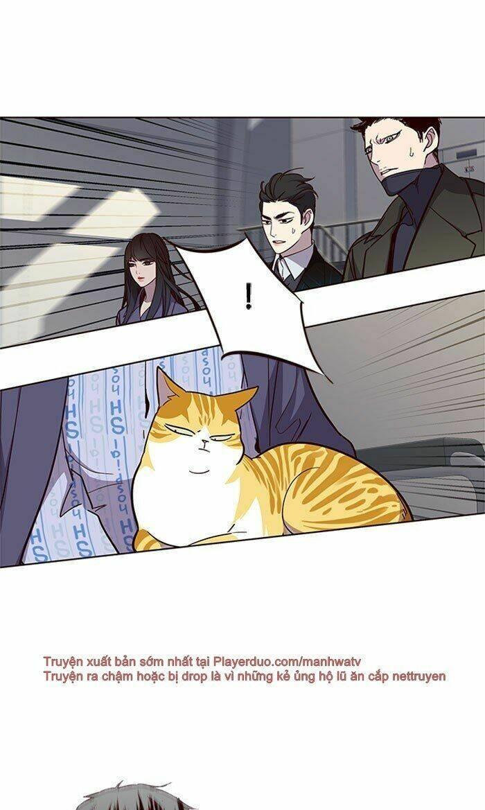 biến thân thành mèo chapter 32 80
