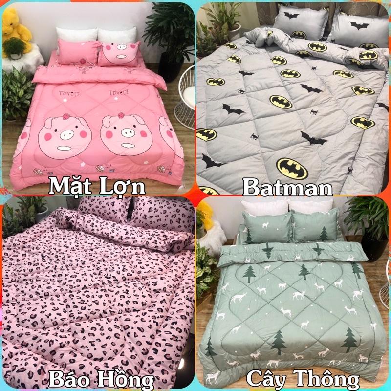 Trọn bộ 5 món ga gối chăn phao poly cotton có ruột bông dày loại 1