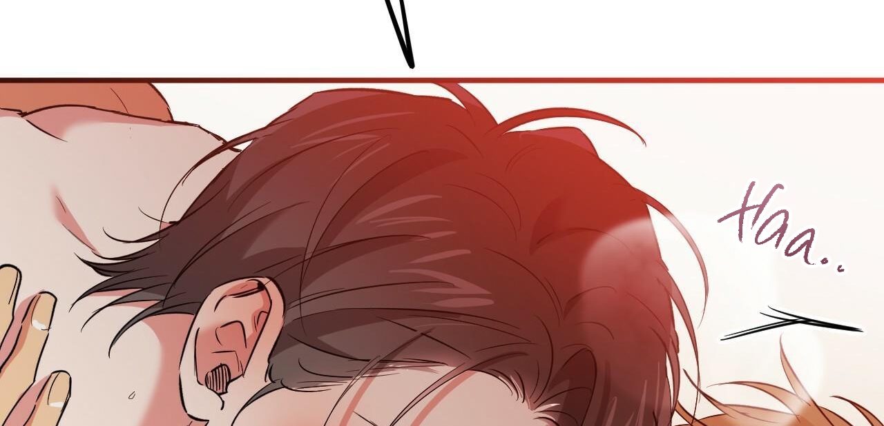 đàn thỏ của habibi chapter 54 184