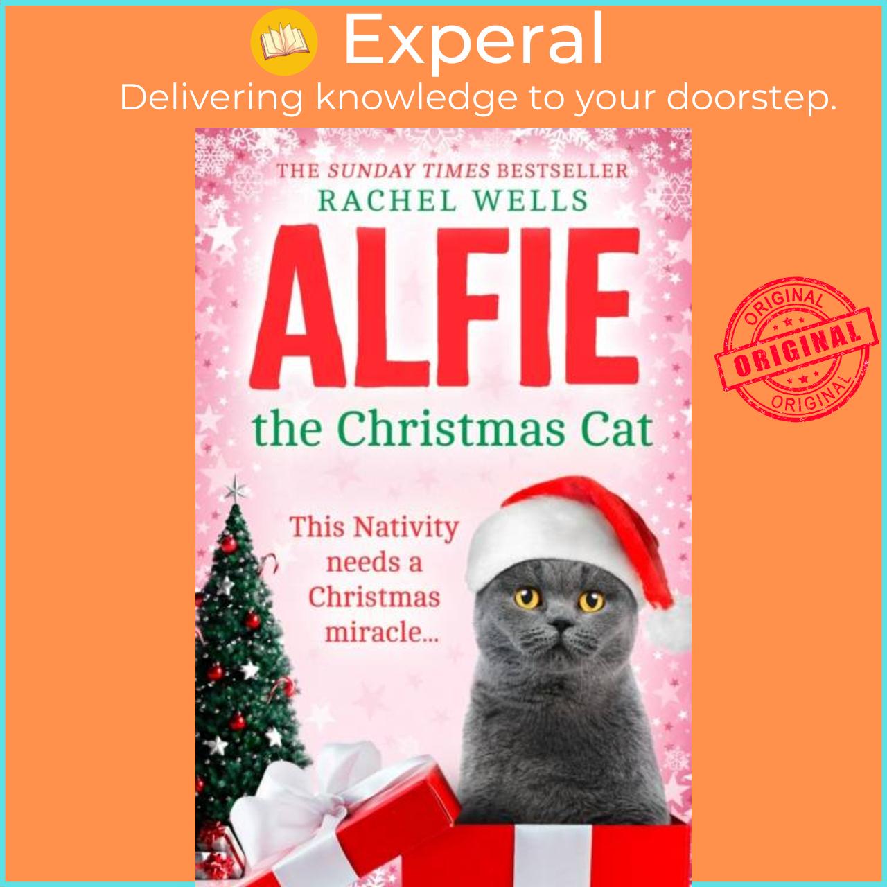 Sách - Alfie the Christmas Cat by Rachel Wells (UK edition, paperback)