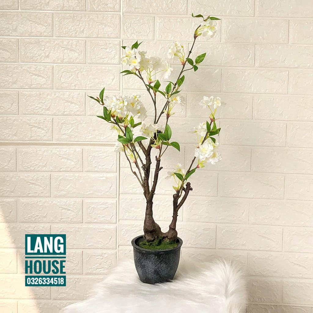 Hoa Giả Hoa Lụa - CHẬU HOA ĐÀO GIẢ CAO 70CM (KÈM CẢ CHẬU)