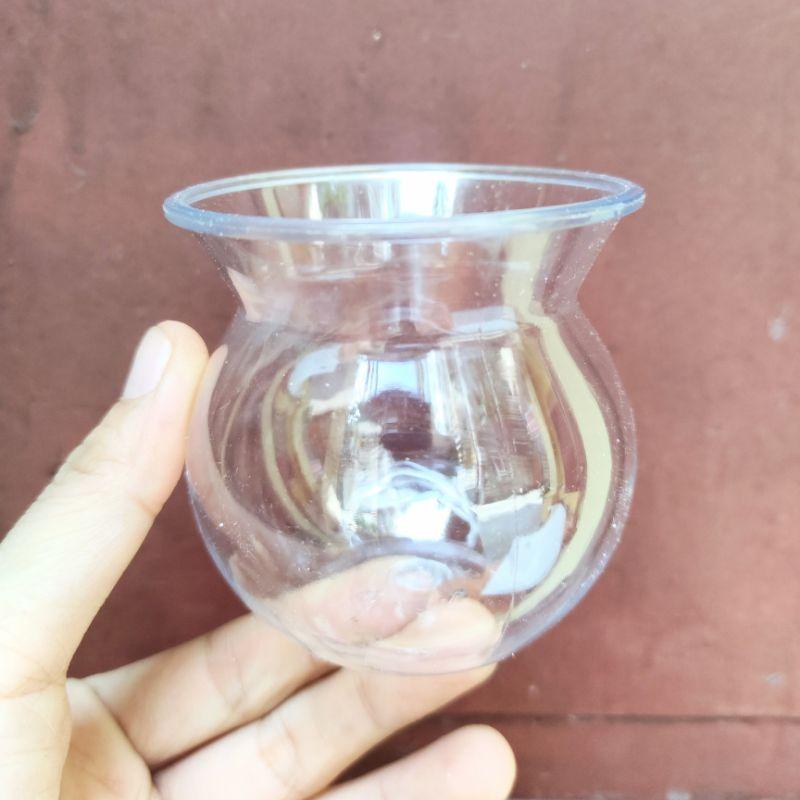 Chậu trong suốt trồng cây xinh xắn, cây cẩm nhung trồng chậu, hạt đất nung nhiều màu rải chậu