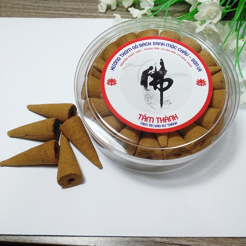 Nụ Bách xanh Mộc Châu - Sơn La TẶNG lư xông trầm màu ngẫu nhiên