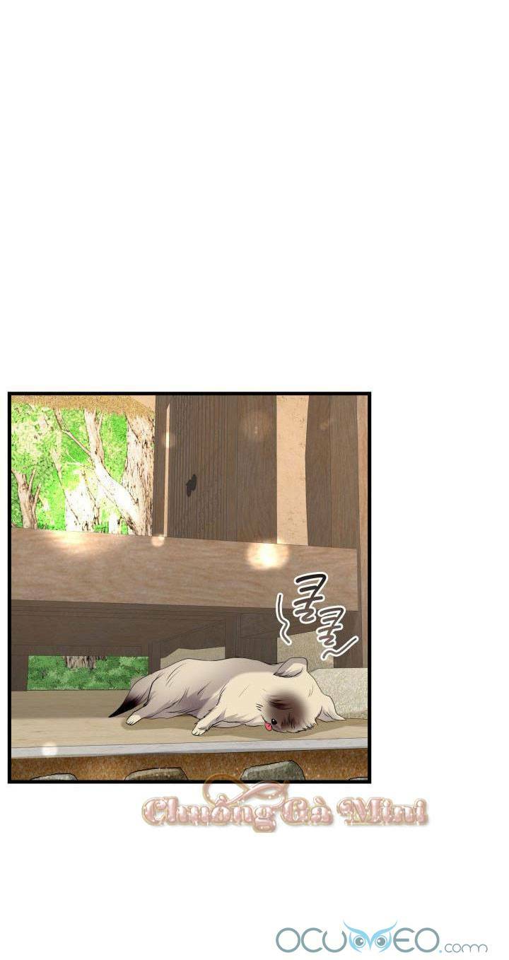 cô dâu của sói đen chapter 19 21