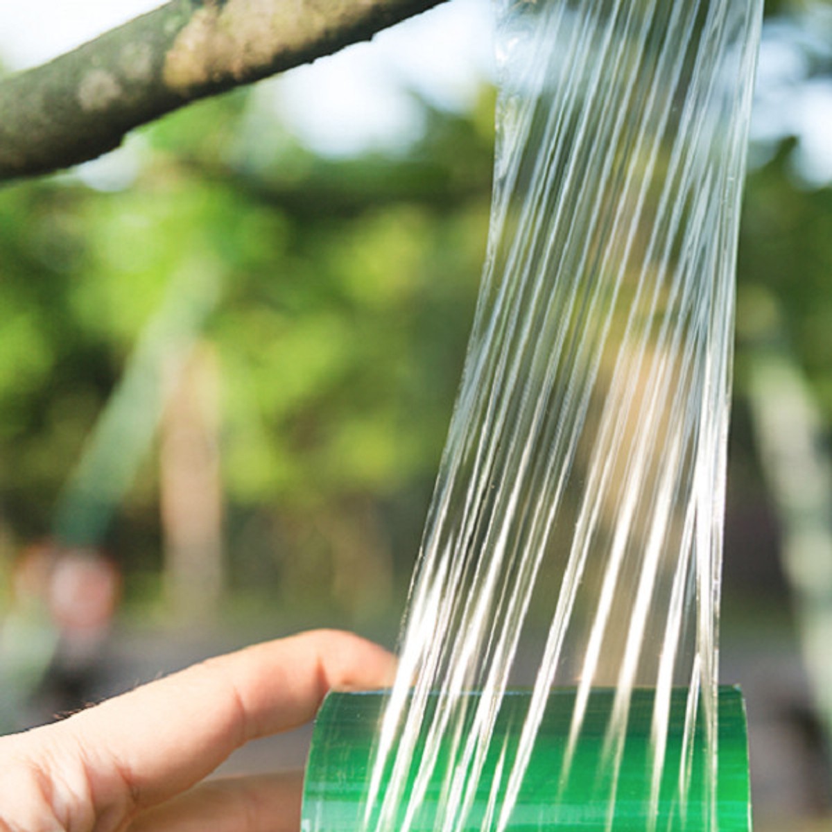BĂNG GHÉP CÂY XANH KHỔ 10CM