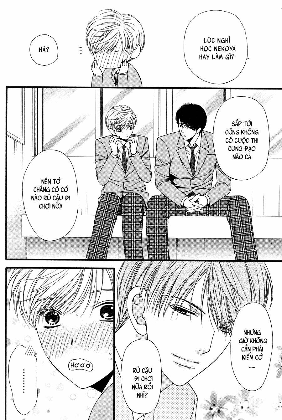 neko neko honey chapter 11 8