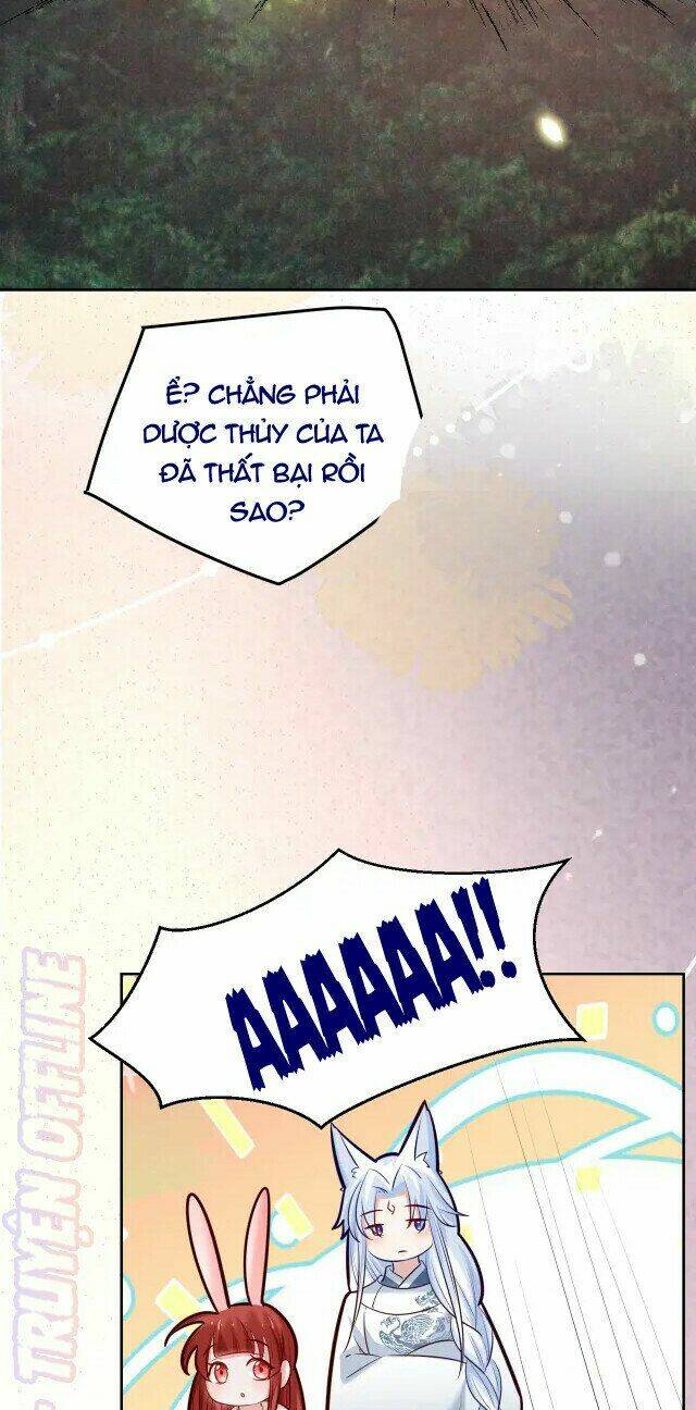 hắc hóa nam chính trực tuyến nuôi thỏ chapter 45 33