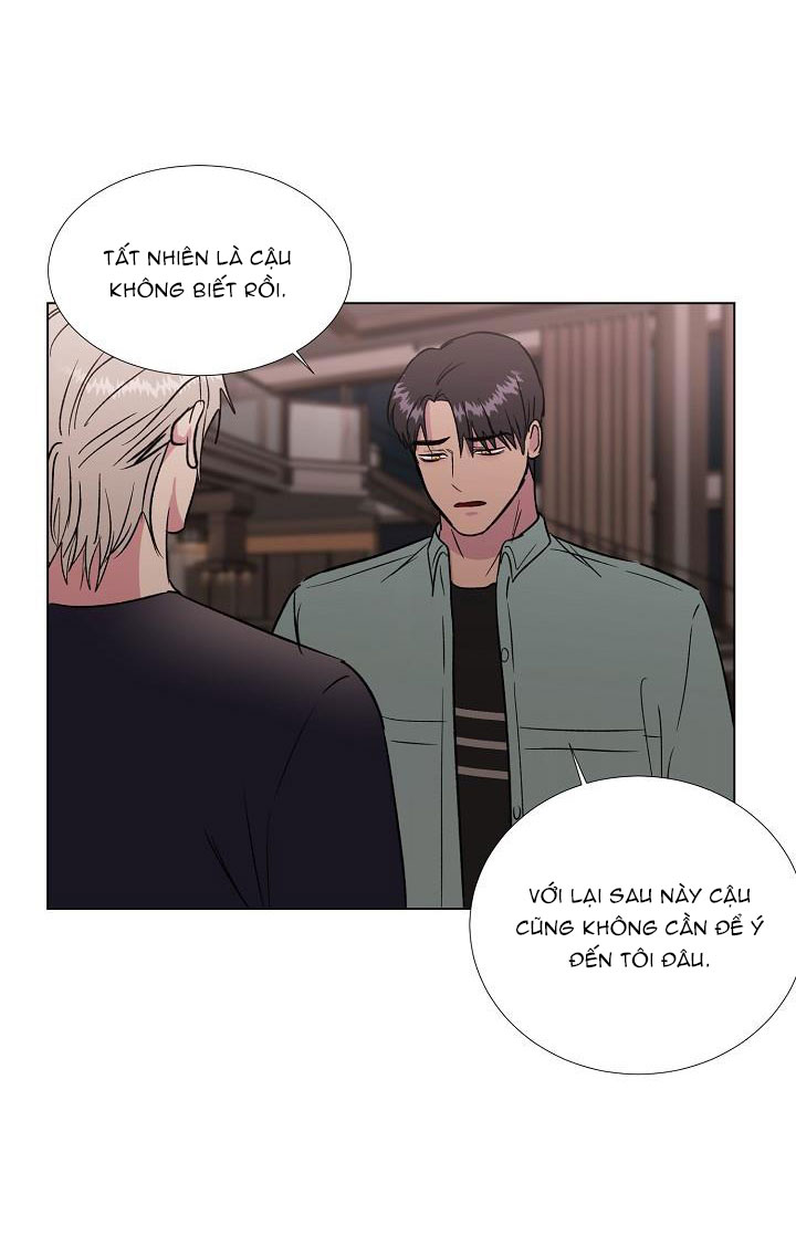 dưới đôi cánh ấy chapter 37 41