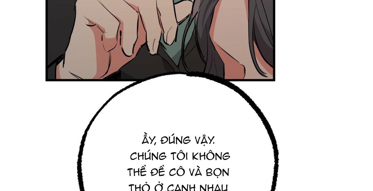 đàn thỏ của habibi chapter 36 289