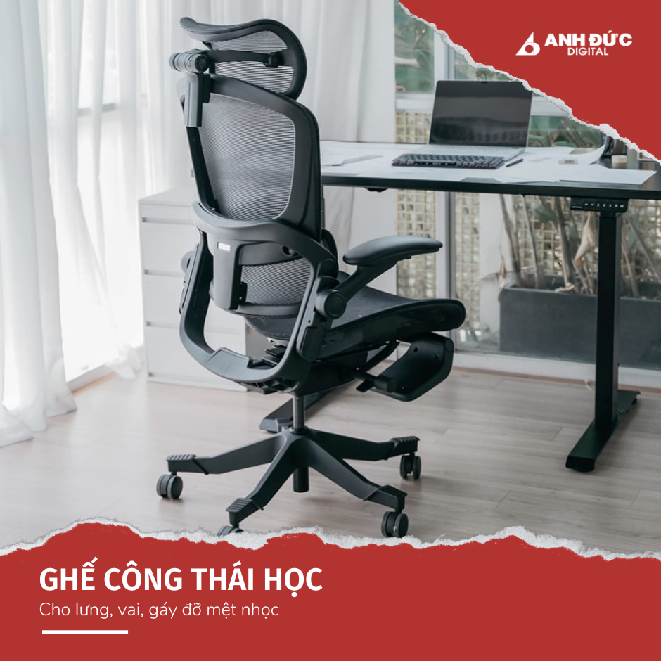 Ghế Công Thái Học Epione Easy Chair 2.0 - Ghế Văn Phòng Cao Cấp - Hàng Chính Hãng