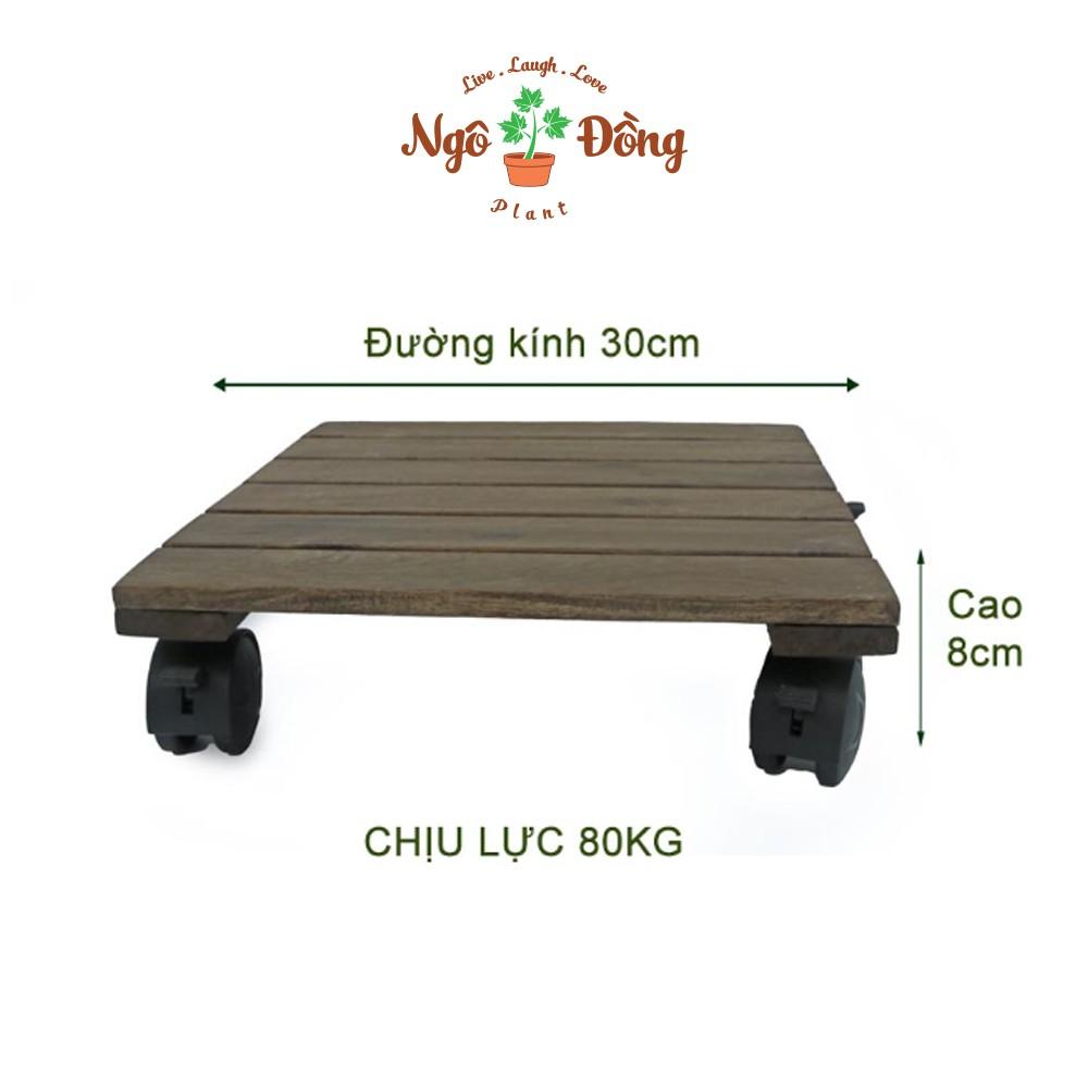 2 Đế Lót Chậu Cây Cảnh Chậu Hoa Bằng Gỗ Tràm Hình Vuông R30cm Chịu Lực Lên Đến 80kg Có Bánh Xe Khóa An Toàn Màu Đen