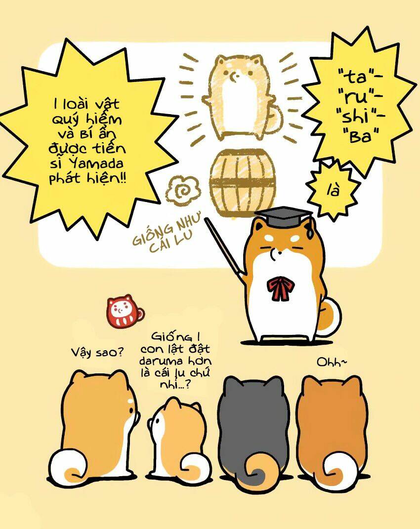 taru shiba chapter 9 7