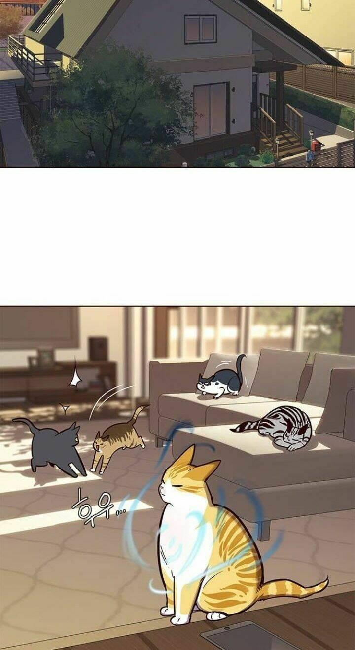 biến thân thành mèo chapter 106 47