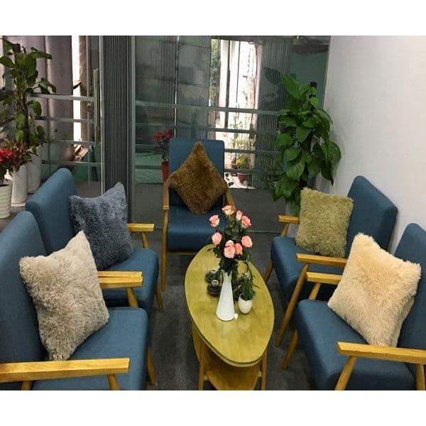 GỐI TỰA LÔNG VIỆT Á 50*50