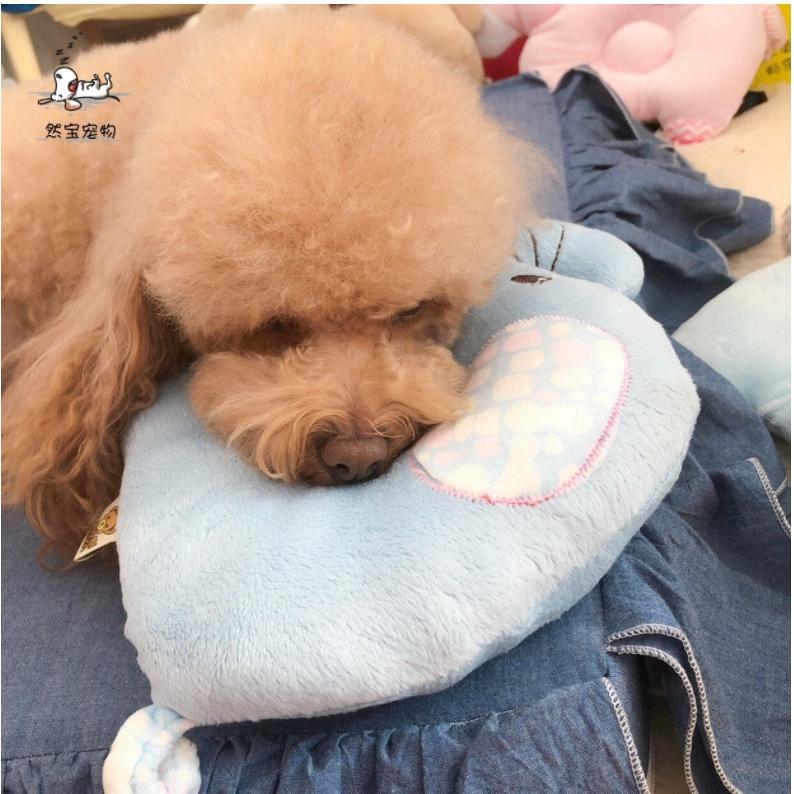 Gối ngủ cho Thú cưng