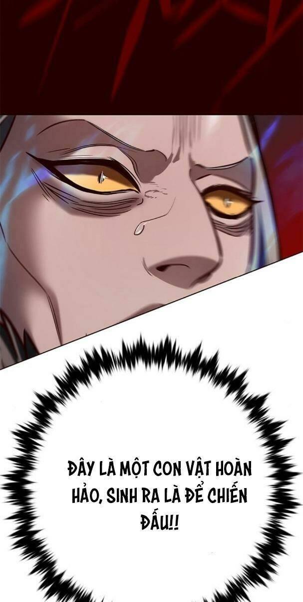 biến thân thành mèo chapter 195 56